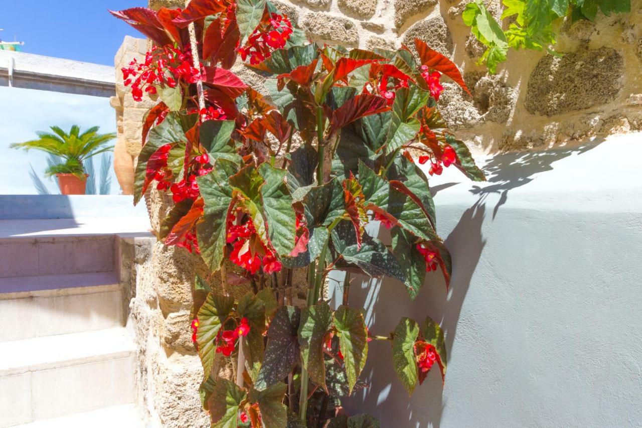 Colours - Old Town - Studios Rhodes City Exteriör bild